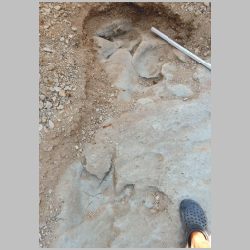 DSCN0526cr New tracks gravel.jpg